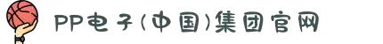PP电子(中国)集团官网
